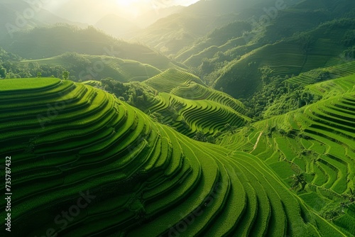 Bird's-eye view of rice fields, dreamlike landscape of rice cultivation, lush Asian fields and plantations. Generative AI © Zero Zero One