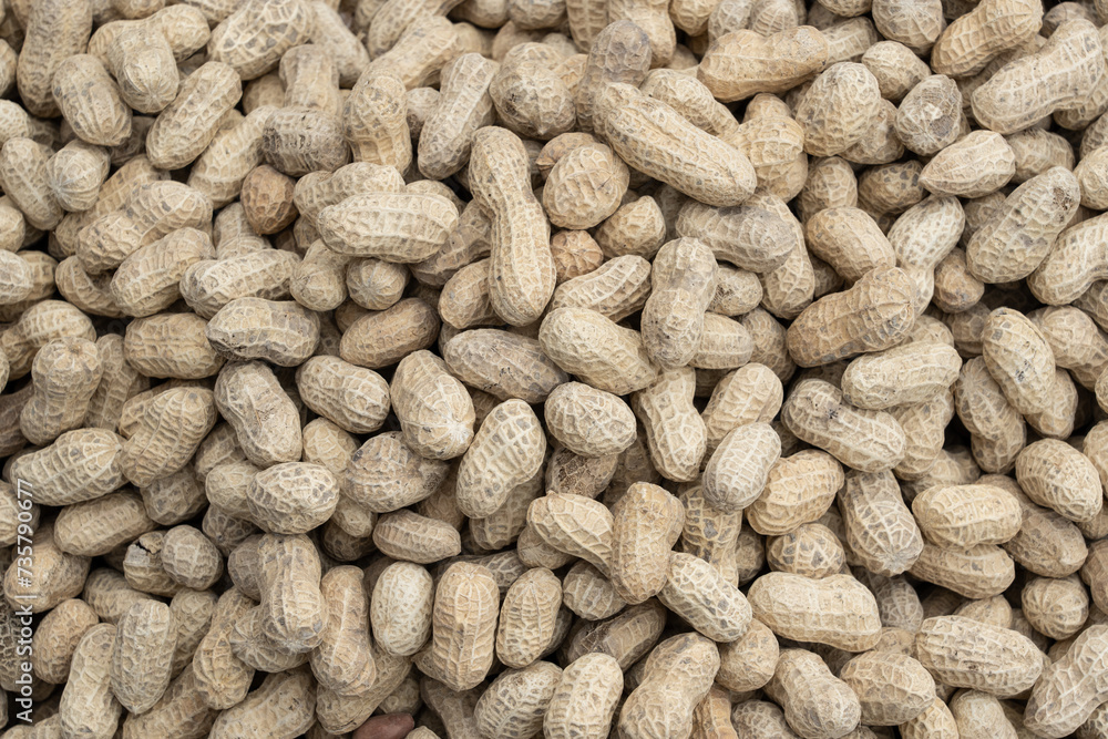 Peanuts in shells on the background of sack cloth. Peanuts in shells on the background of sack cloth.