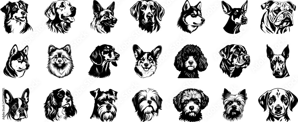 Dog breeds heads vector illustration. Pet portrait in style of hand drawn black doodle on white background - obrazy, fototapety, plakaty 