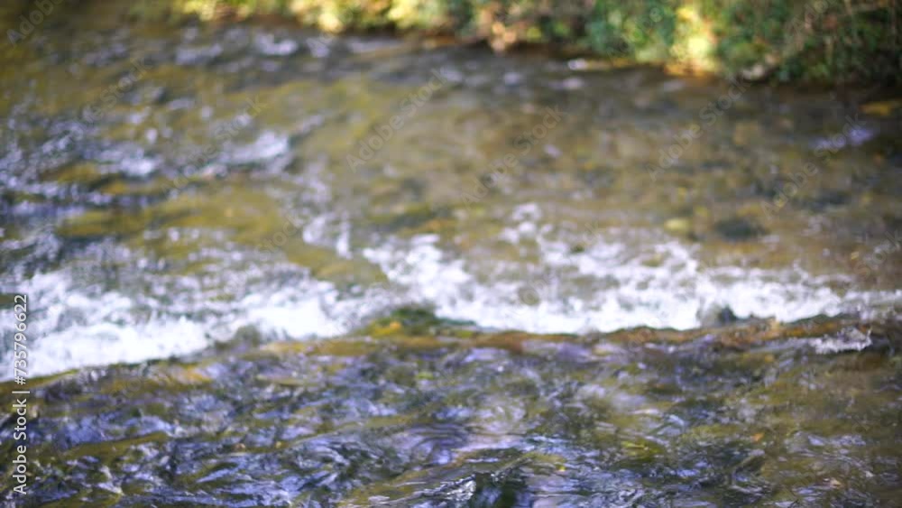 Flowing river overcomes log. Clear day, natural river flow over obstacle. Flowing river overcomes log. Clear day, natural river flow over obstacle.