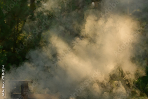 Gęste kłęby siwego dymu w lesie podświetlone zachodzącym słońcem w czasie złotej godziny  photo