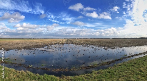 Flooding at Fields. Clouds. Uffelter Es. Uffelte Drenthe. Netherlands. Panorama.