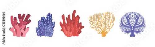 Colorful Reef Coral and Marine Hydranths Vector Set