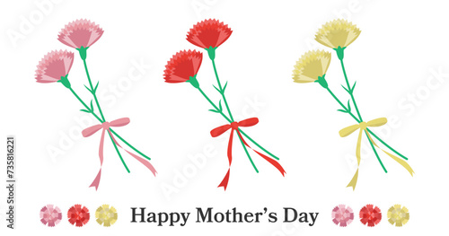 母の日のカーネーション（カラーバリエーション）