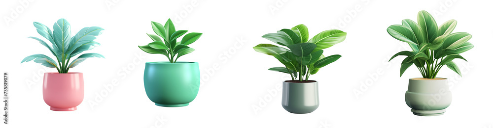 A 3d render cartoon style plant with beautiful pot on transparent png background A 3d render cartoon style plant with beautiful pot on transparent png background