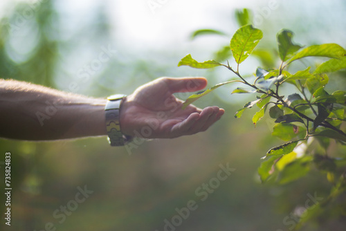 A man's hand touching grass. Caring for the environment. The ecology the concept of saving the world and love nature by human