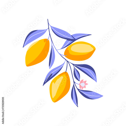 Abstract lemon branch. Fruit print. Sketch of fresh citrus fruit, flower and leaves. Vector cartoon illustration