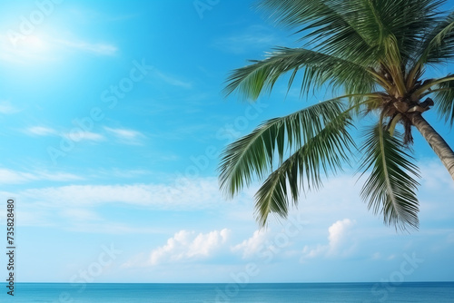 coconut tree in beach on morning light summer.