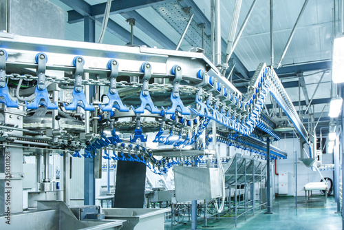 Equipment on chicken farm. Modern meat farm. Conveyor line, new equipment, nobody