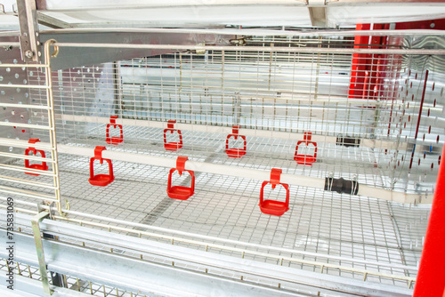 Chicken incubator machine, new empty hatchery, agricultural industry