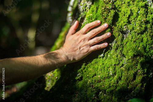 A man's hand touch the tree trunk close-up. Bark wood. Caring for the environment. The ecology concept of saving the world and love nature by human