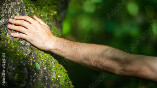 A man's hand touch the tree trunk close-up. Bark wood. Caring for the environment. The ecology concept of saving the world and love nature by human