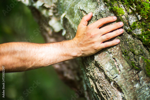 A man's hand touch the tree trunk close-up. Bark wood.Caring for the environment. The ecology concept of saving the world and love nature by human © shaploff