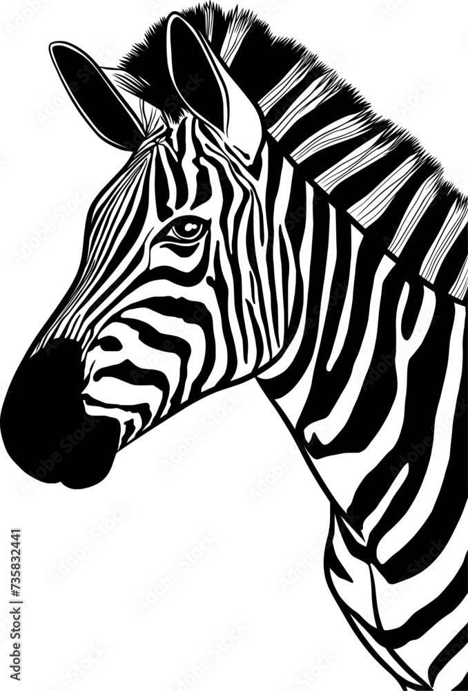 Fototapeta premium Zebra head realistic Illustration isolated on transparent background 