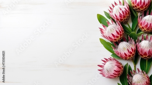 composition of a bouquet of protea flowers, top view with copy space on a white background