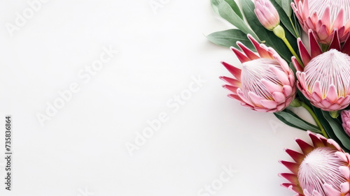 composition of a bouquet of protea flowers, top view with copy space on a white background