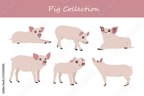 Set of cute pigs. Vector illustration. Isolated on white background.