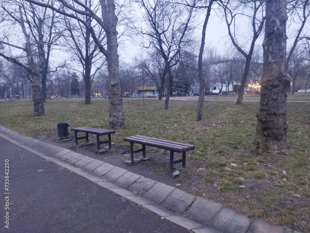 bench in the park