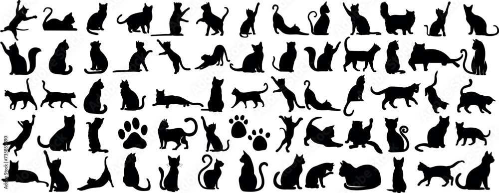Cat silhouette Cat silhouette