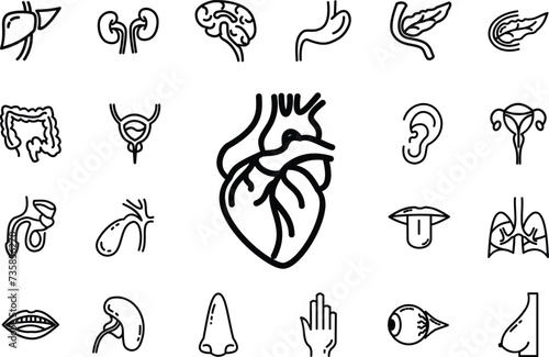 Human Anatomy Icon set, Heart, Kidney, liver, pancreas, spleen, nose, hand, brain, gallbladder, tongue, eye, vesica urinary, bladder, teeth