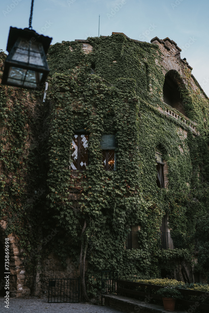 Fascinante fachada de la entrada de un castillo toda cubierta por enredaderas. Fascinante fachada de la entrada de un castillo toda cubierta por enredaderas.