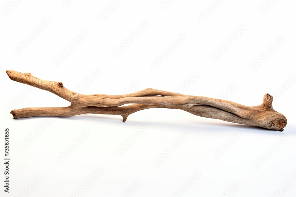 Driftwood Stick Isolated, Sea Wood Branch, Drift Wood Driftwood Stick Isolated, Sea Wood Branch, Drift Wood