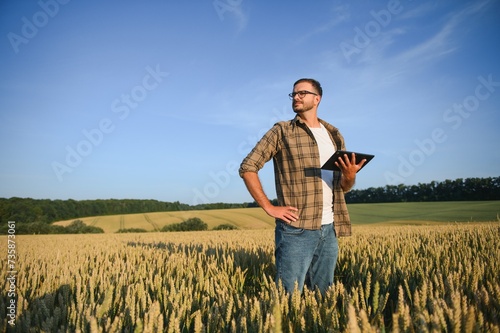 Farmer examining crops crouching in wheat farm