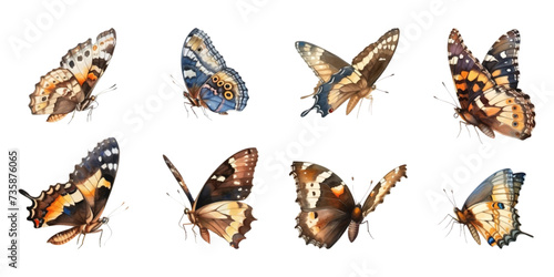 Set of butterflies, side view, watercolor on white background