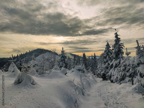 Winter Trekking on Radziejowa mountain in Beskid Sądecki, Poland, Europe © Grzegorz