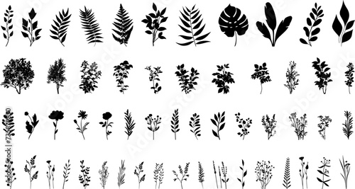 Set of silhouettes of plants  herbs and flowers