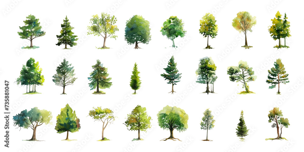 Set of watercolor trees on a white background - obrazy, fototapety, plakaty 