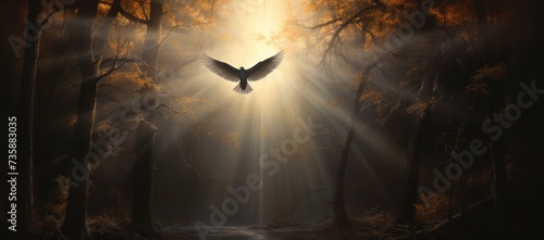Dove of peace, religious bird flying over a dark forest with white and amber, god rays.