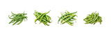 Green beans watercolor. Vector illustration design.