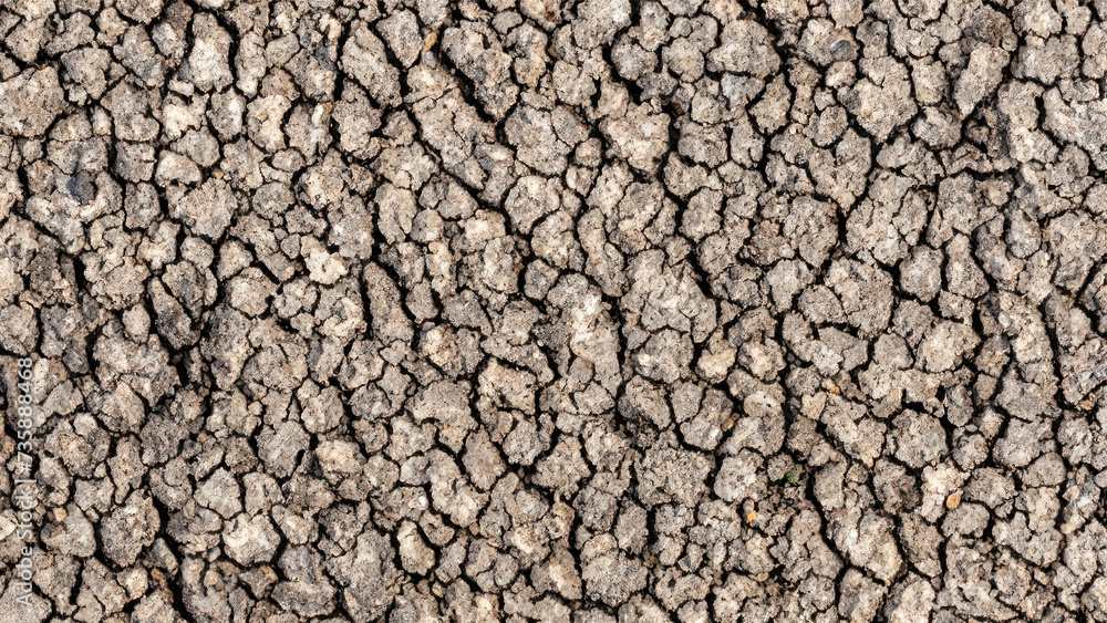 texture of the dried soil, cracked soil surface texture of the dried soil, cracked soil surface