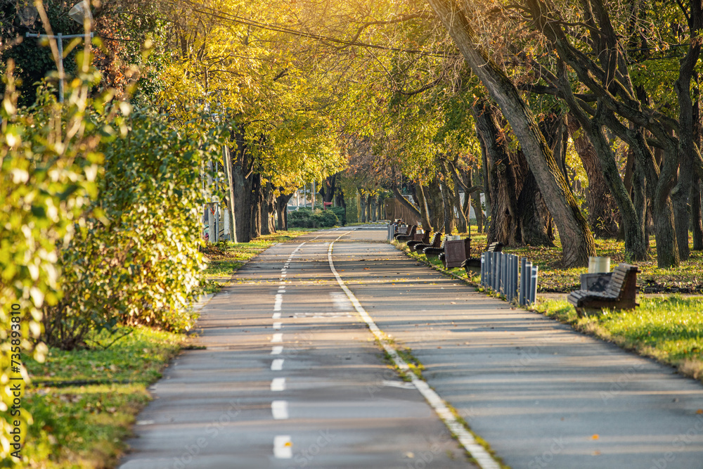 Autumn's vibrant palette paints an idyllic park scene, where empty bike lanes wind through a golden woodland bathed in October sunlight.