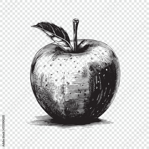 Apple fruit. Hand drawn engraving style vector illustrations.