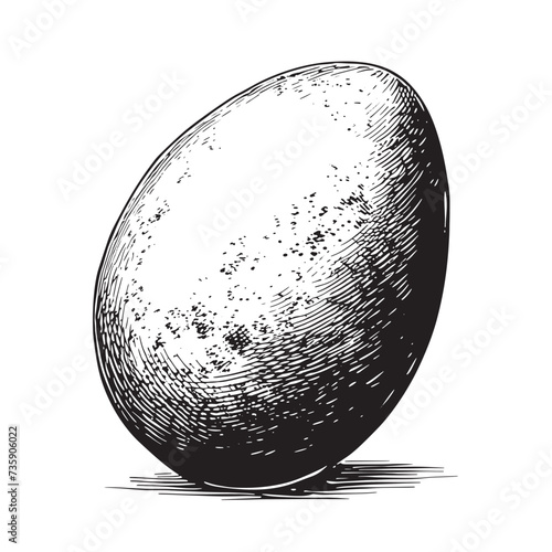 Eggs. Hand drawn engraving style vector illustrations.