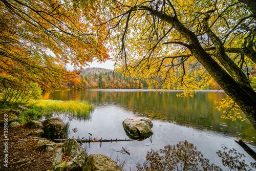 Landscape in autumn at Feldberg in the Black Forest. Feldbergsteig hiking trail. Nature at Feldsee in the Breisgau-Hochschwarzwald district in Baden-Württemberg. 