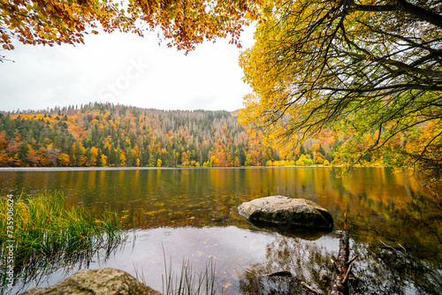 Landscape in autumn at Feldberg in the Black Forest. Feldbergsteig hiking trail. Nature at Feldsee in the Breisgau-Hochschwarzwald district in Baden-Württemberg.	 photo