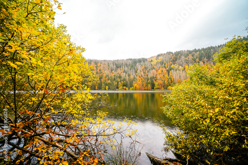 Landscape in autumn at Feldberg in the Black Forest. Feldbergsteig hiking trail. Nature at Feldsee in the Breisgau-Hochschwarzwald district in Baden-Württemberg.  © Elly Miller