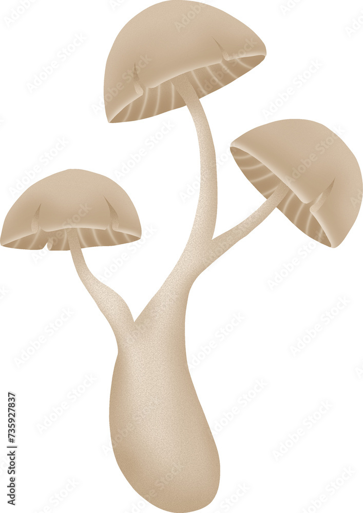 three-headed mushroom tree