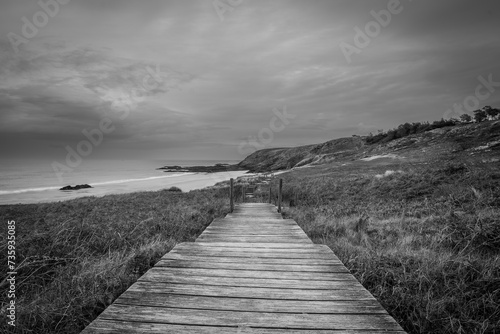 boardwalk in the dunes