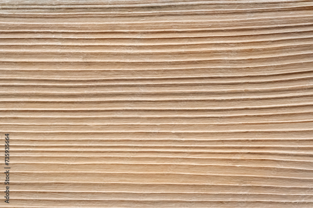 Wood texture. Natural background. Selective focus Wood texture. Natural background. Selective focus
