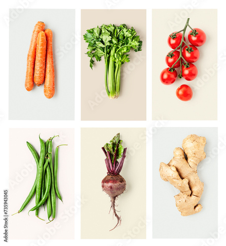 Fresh garden vegetables collection on bright background. Color card.