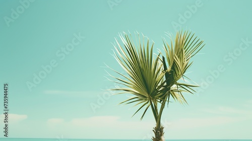 A lone palm stands against a clear sky  embodying solitude and tropical climates  perfect for travel and environmental themes  with ample negative space.