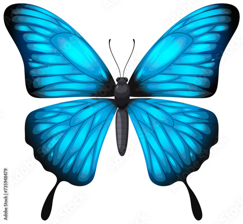 A detailed vector of a blue butterfly with open wings.
