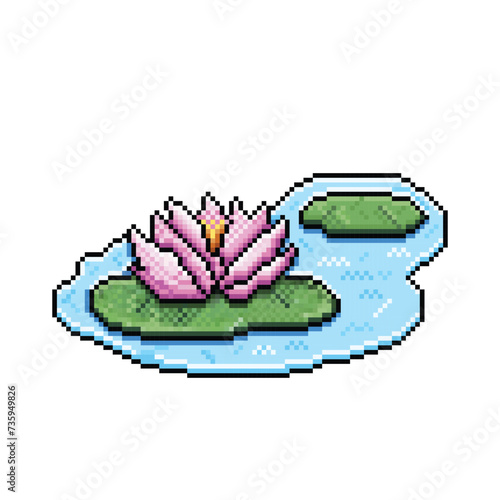 Pink water lily pond flower botanical plants with leaves and water. Pixel bit retro game styled vector illustration drawing isolated on white background. Nymphaeaceae. Rhizomatous  aquatic herbs.