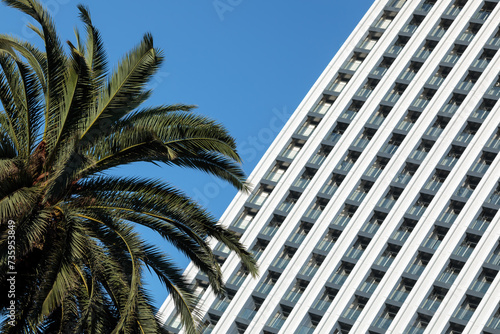Obraz na płótnie A minimalistic photo of a modern building with a striped pattern on its exterior stands out against a clear blue sky. A palm tree is visible to the left of the building w salonie