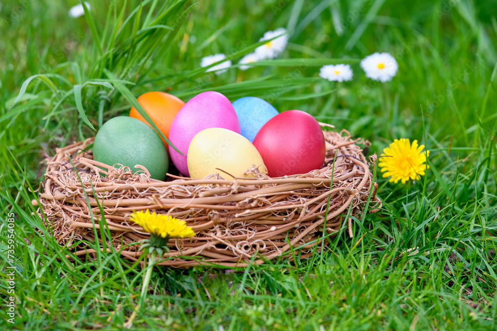 Fototapeta premium Osternest bunt