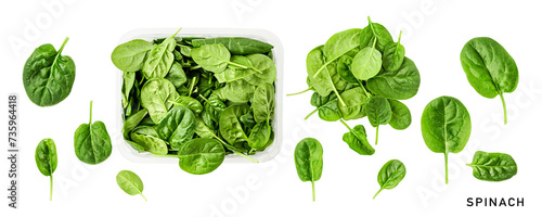Fresh spinach leaves set top view isolated. Flat lay, top view. Vitamin C. PNG with transparent background. Without shadow .